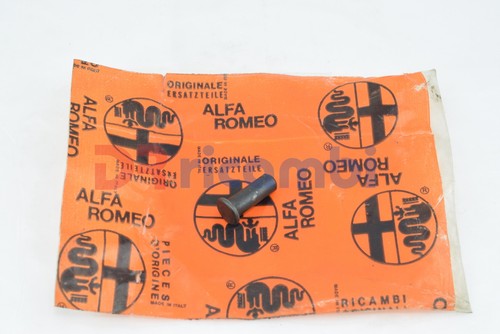 Perno per azionamento pompetta - perno,