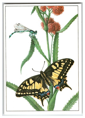 Cartolina artistica russa