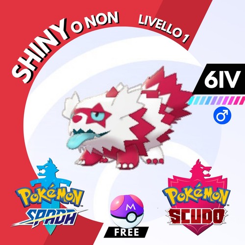 Zigzagoon galar shiny non - zigzagoon, 6