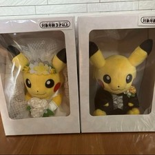 Pokemon Centro Pikachu