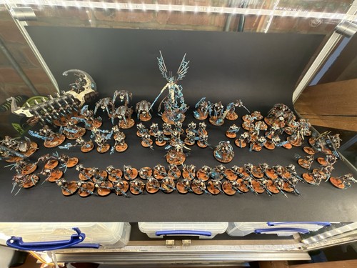 Warhammer 40k pro dipinto - pro,