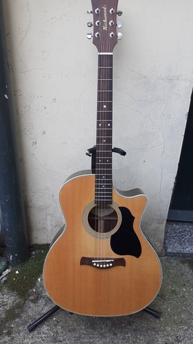 Richwood g60 chitarra - richwood,