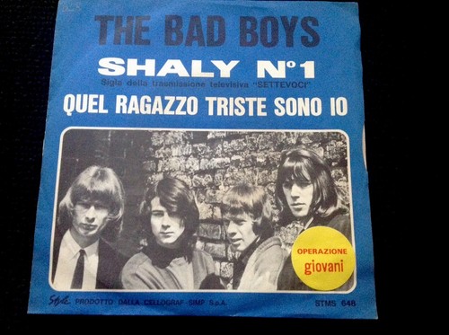 The bad boys - the, ragazzo