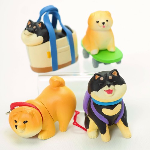 Carino shiba inu chubby - carino,