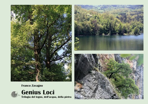 Libri franco zavagno genius - zavagno,