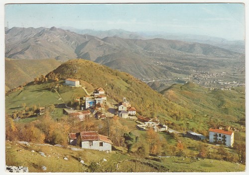 Roncola bernardo - di,