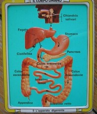 CORRIERE DEI PICCOLI TAVOLA