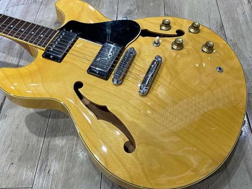 Chitarra elettrica
