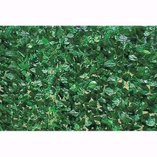 Arelle Sempreverdi Lauro