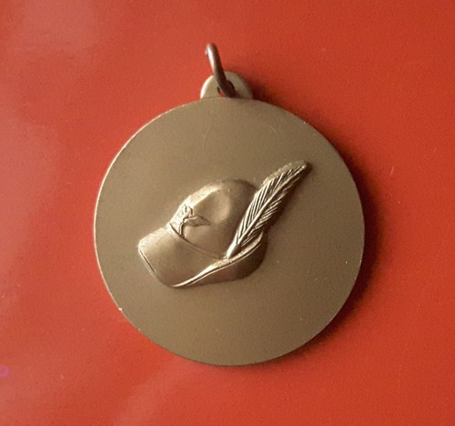Medaglia alpini torino nord - medaglia,