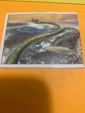 FIGURINA N.101 ANIMALI