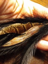 Cappello vintage nero PIUMA