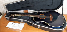 Chitarra elettrica acustica