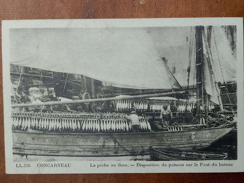 Concarneau peche thon - la,