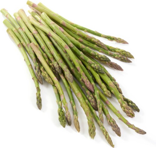 Piante asparagi resistenti - di,