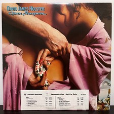 DAVID JAMES HOLSTER - Chinese