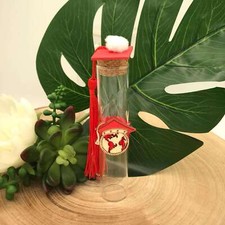 Bomboniera Laurea Provetta Tocco Mappamondo