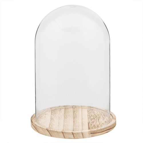 Espositore vetro cloche - espositore,