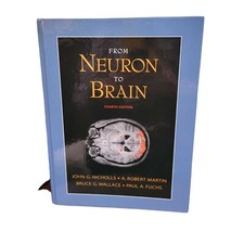 From Neuron to Brain (Fourth