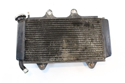 Ktm radiatore ventola assy - radiatore,