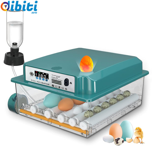 Incubatrice per uova - incubatrice,