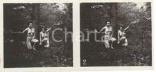 1920 ca VINTAGE EROTIC Le nu stéréo en plein air - Nude women near a tree (3)
