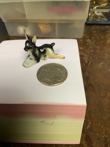 Piccola pinza doberman - piccola,