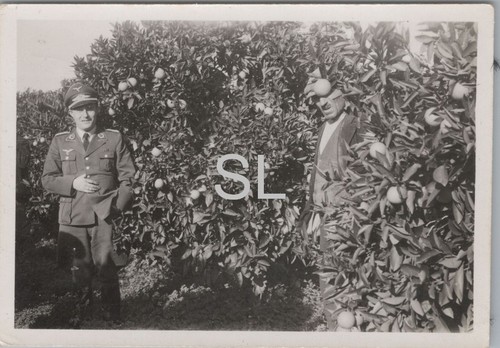 Foto campo giudiziario hanns - campo,