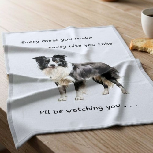 Border collie cane regalo - border,