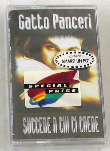 Gatto panceri succede a - gatto,