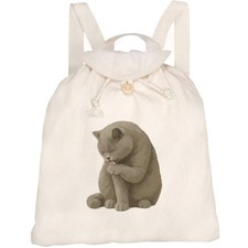 'British Shorthair Cat Licking