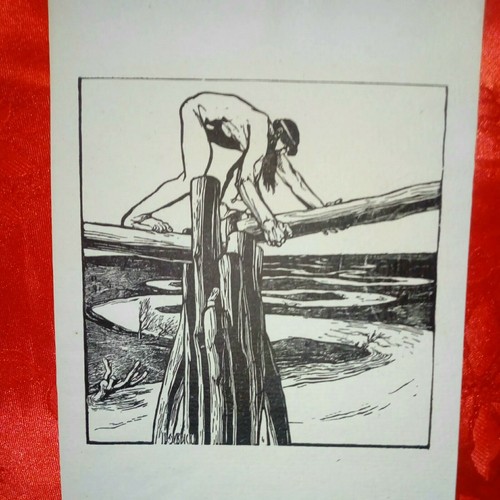 Zincografia cambellotti - zincografia,