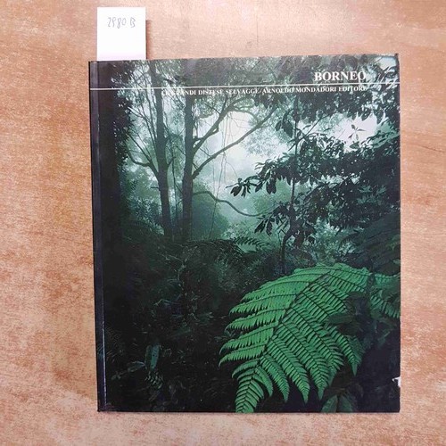 John mackinnon borneo le - john,