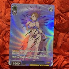 Sora Takenouchi DIGIMON BABE