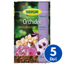 Terflor terriccio substrato - terflor,