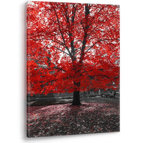 Albero rosso sfondo bianco - su,