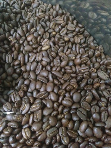 Caffè kopi luwak appena - kopi,