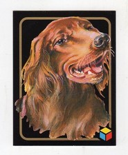 figurina card - AMICI DEL