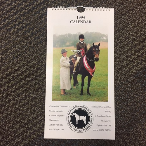 1994 gallese pony and cob - 1994,
