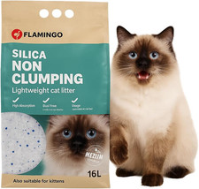 Lettiera per Gatti - Lettiera