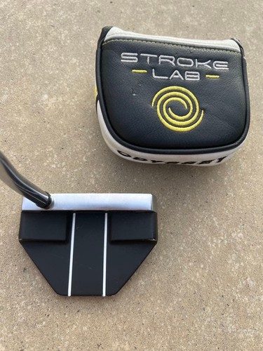 Odyssey stroke lab mazza - odyssey, da