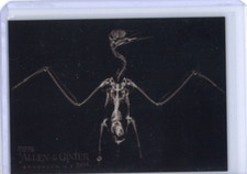 2024 Allen & Ginter Oregon Zoo