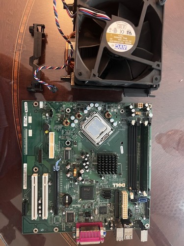 Scheda madre dell optiplex - madre,