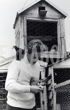 Foto vintage Piccioni, Piccione viaggiatore, Stampa 18 x 25 cm