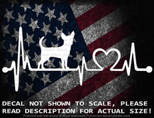 Chihuahua In Heartbeat Cut