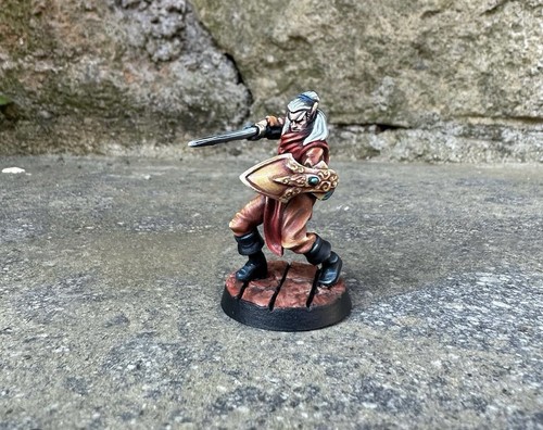Heroquest pro painted elf - heroquest,