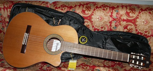 Vendesi chitarra acustica