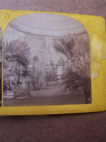 Stereoscopic stereo view - stereoscopic, stereo-view