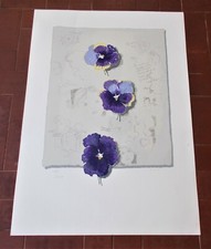 Serigrafia 18 colori FERNANDO EANDI Tre viole FIRMATA NUMERATA 50x70 incisione