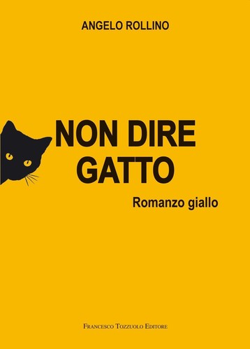 Non dire gatto paperback - non, [paperback]